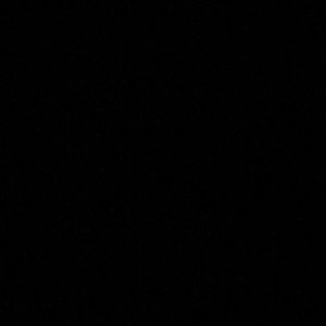 Meet your Posher, Antonia